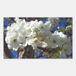 Sticker Rectangulaire White Blossoms II