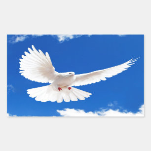 Sticker Rectangulaire White Dove Bird Peace Love Flying Sky
