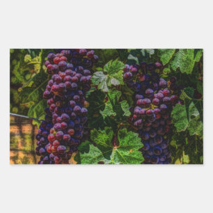 Sticker Rectangulaire Winery Grapevine sunny tuscany vineyard