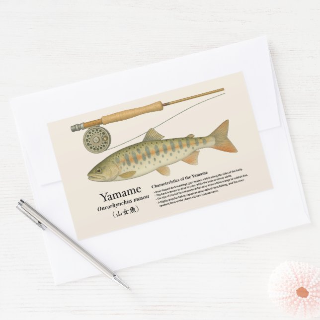 Sticker Rectangulaire Yamame (Oncorhynchus masou) – English Illust (Enveloppe)