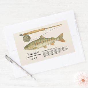 Sticker Rectangulaire Yamame (Oncorhynchus masou) – Illustration anglais