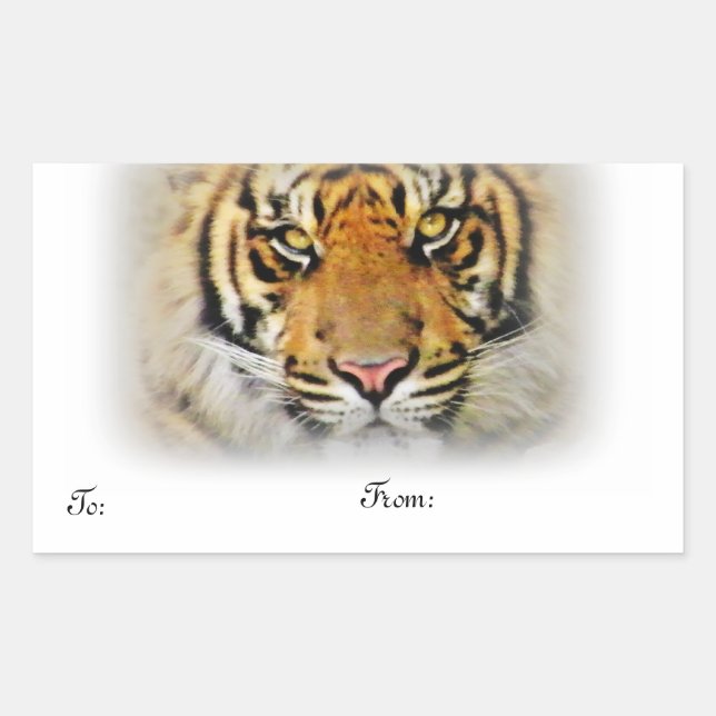 Sticker Rectangulaire Yeux du Tigre,Love_ (Devant)