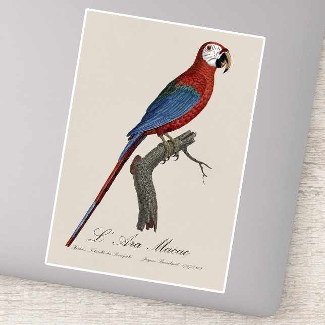 Sticker Red-and-green Macaw, Ara chloropterus (Red-and-green Macaw, Ara chloropterus. Sticker)