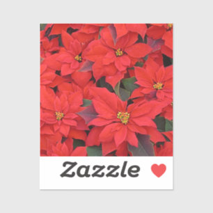 Sticker Red Poinsettias I Christmas Holiday Floral Photo