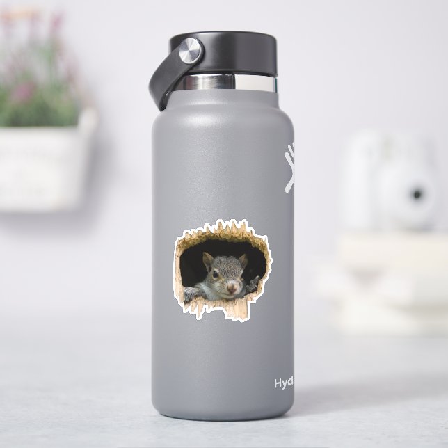 Sticker Regardez. - Écureuil gris (HydroFlask)