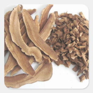 Sticker Reishi Mushroom