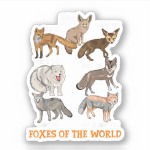 Sticker Renards du monde Drôles de renards Animaux Éducati