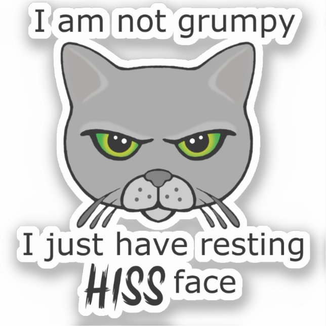 Sticker Repose Hiss Face Gray Chat - Avantages PACR (Recto)