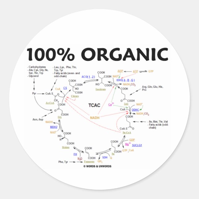 Sticker Rond 100% organique (Cycle Citrique Acide - Cycle Krebs (Devant)