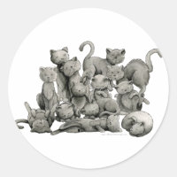 13 Chats noirs chanceux