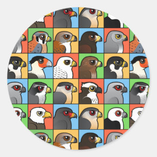 Sticker Rond 16 profils de rapaces nord-américains (carrelés)