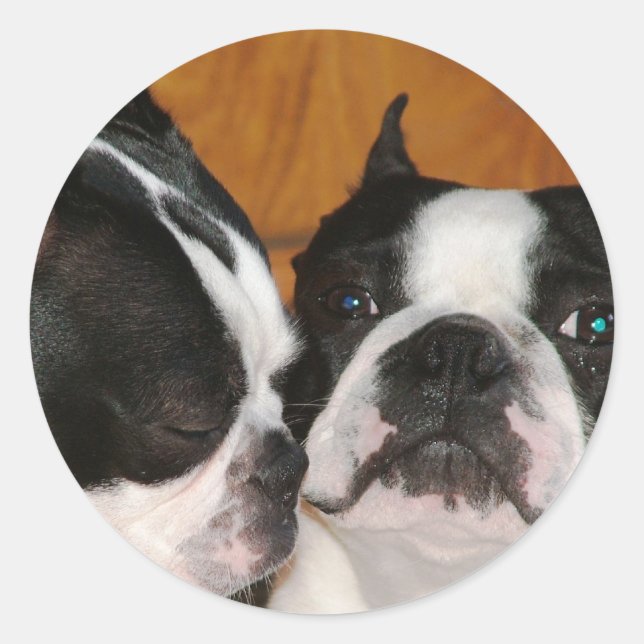 Sticker Rond 2009-Cover (Devant)