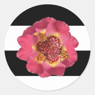 Sticker Rond 20 - 1,5 Enveloppe Sceau moderne Grille Noir Blanc