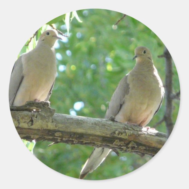 Sticker Rond 2 colombes du matin (Devant)
