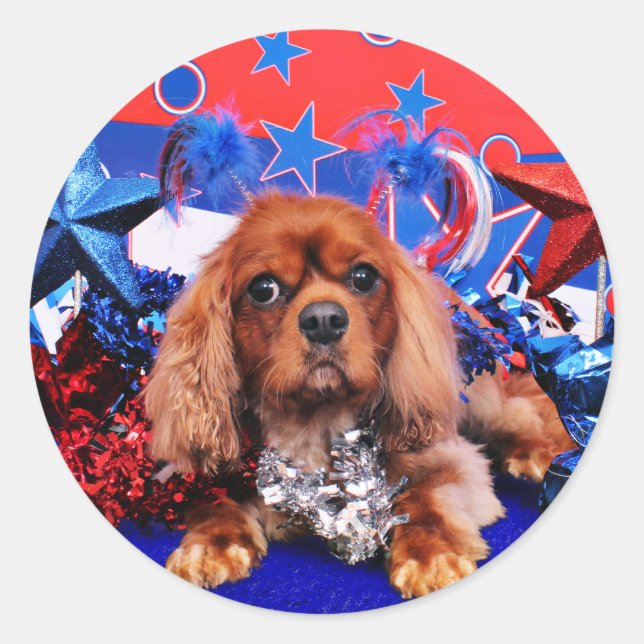 Sticker Rond 4 juillet - Cavalier King Charles Spaniel - Cooper (Devant)