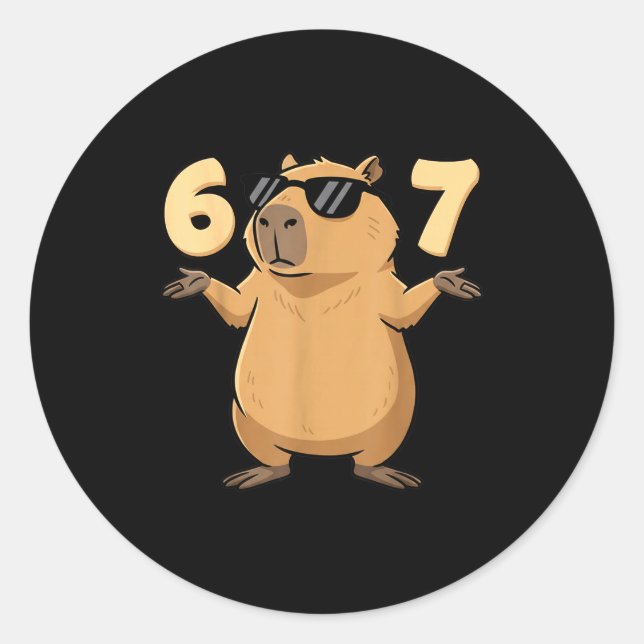 Sticker Rond 67 Capybara Meme 6 7 Aesthetic For Kids Young Adul (Devant)