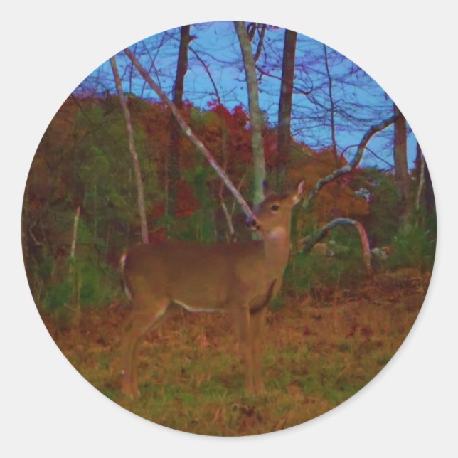 Sticker Rond A Deer : Gold Red Green et Blue (Devant)