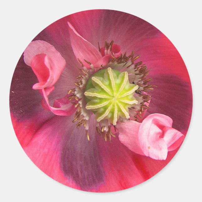 Sticker Rond À l'intérieur du pavot (Devant)