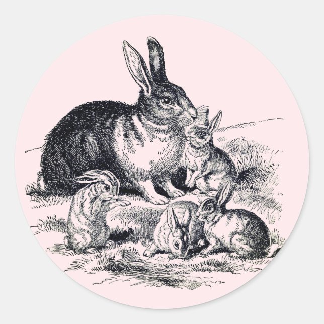 Sticker Rond A rabbit family - vintage (Devant)