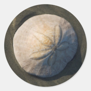 Sticker Rond A Sand Dollar