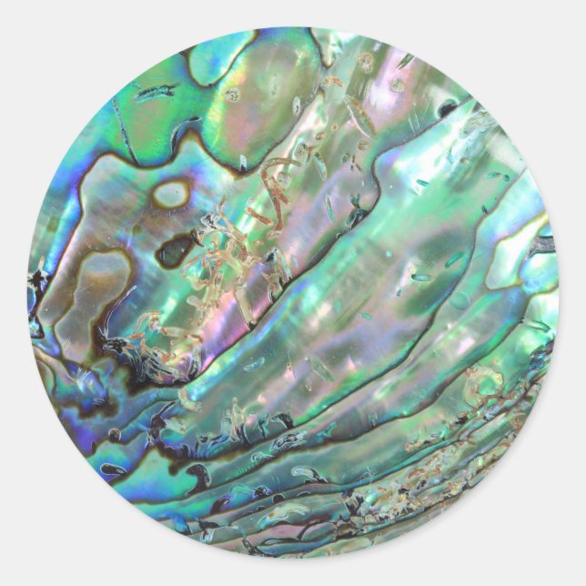Sticker Rond Abalone (Devant)