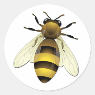 Sticker Rond Abeille de miel
