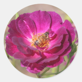 Sticker Rond Abeille de miel