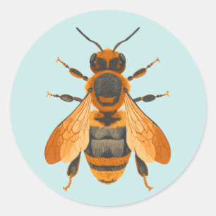 Sticker Rond Abeille de style antique - Inspiré Vintage