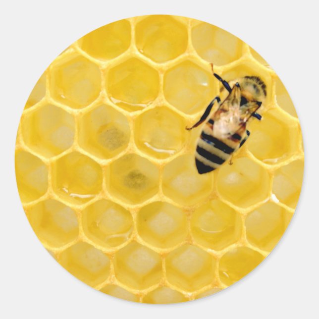 Sticker Rond abeille et nid d'abeille (Devant)