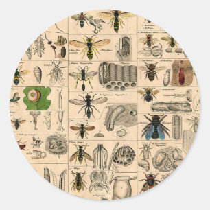 Sticker Rond Abeille Insecte Bug Wasp Nature Peinture des abeil