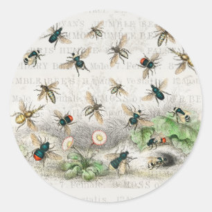 Sticker Rond Abeille Reine Entomologie Botanique Vintage