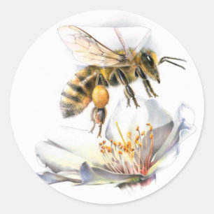 Sticker Rond abeille sur la fleur