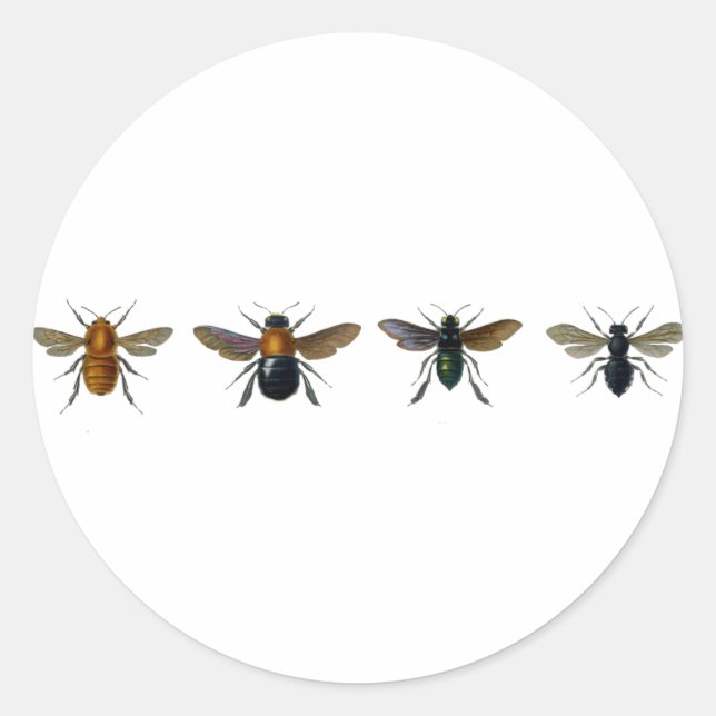 Sticker Rond Abeilles (Devant)