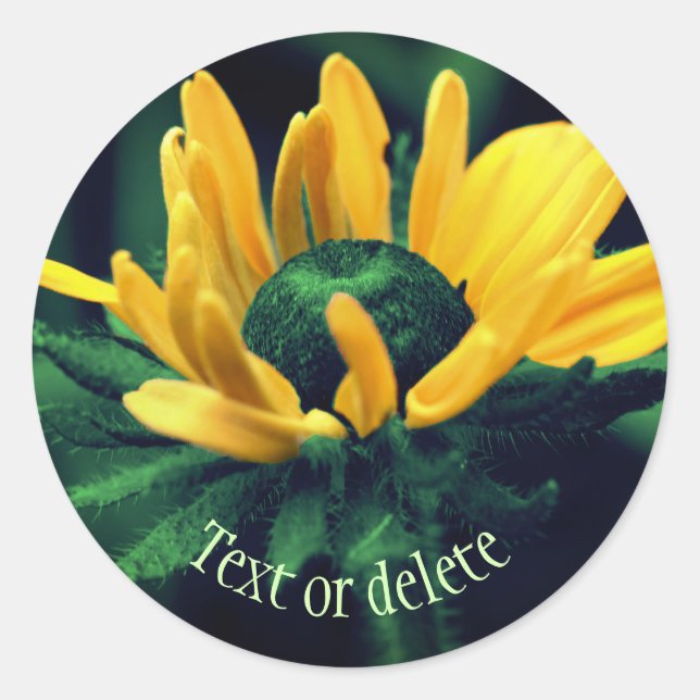 Sticker Rond Abstrait Black Eyed Susan Flower Personnalisé (Devant)