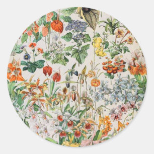 Sticker Rond Adolphe Millot