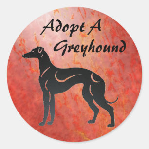 Sticker Rond Adopter un chien de Greyhound