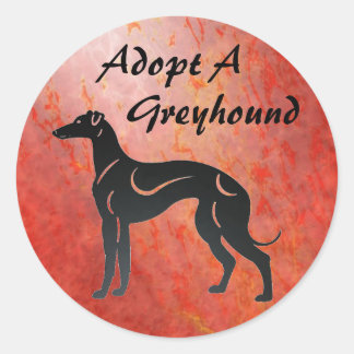 Sticker Rond Adopter un chien de Greyhound