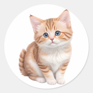 Sticker Rond adorable Baby Kitten mignonne