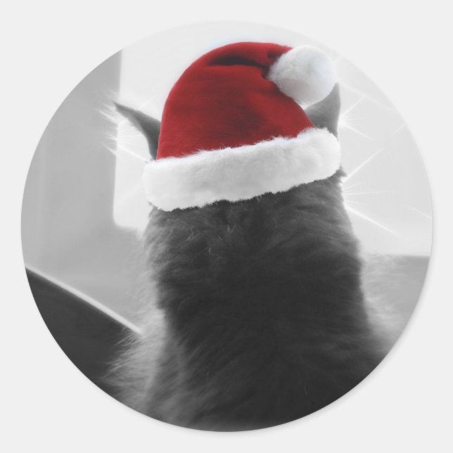 Sticker Rond Adorable Noël Kitten (Devant)