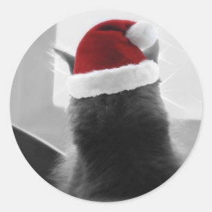 Sticker Rond Adorable Noël Kitten