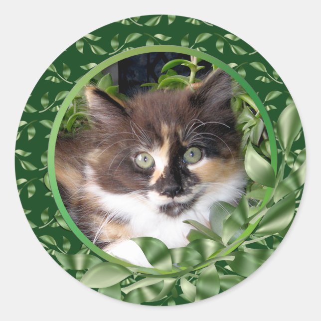 Sticker Rond Adorable Vert teint Calico Kitten (Devant)