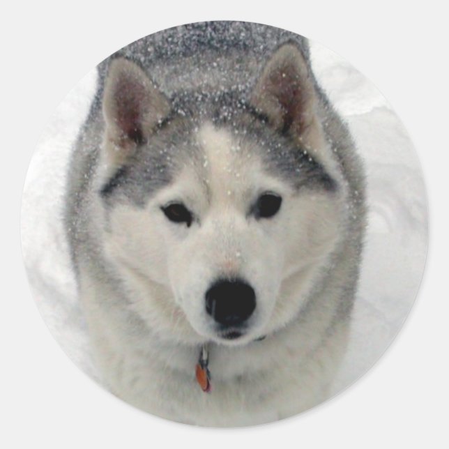 Sticker Rond Adoration totale (Devant)