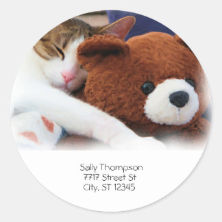 Sticker Rond Adresse de l'ours en peluche du sommeil du chat