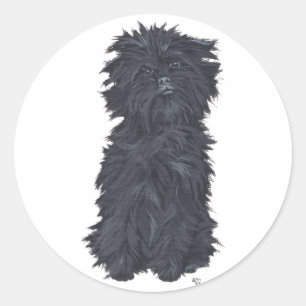 Sticker Rond Affenpinscher assis