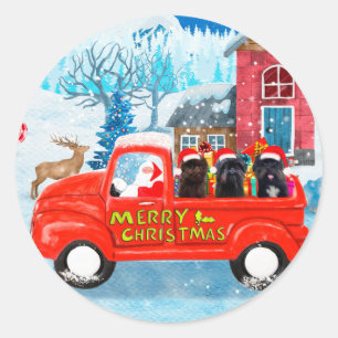 Sticker Rond Affenpinschers Chien dans un Camion de Livraison d