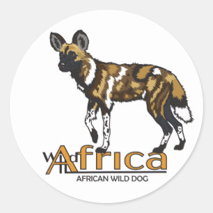 Sticker Rond African wild dog Wild Africa