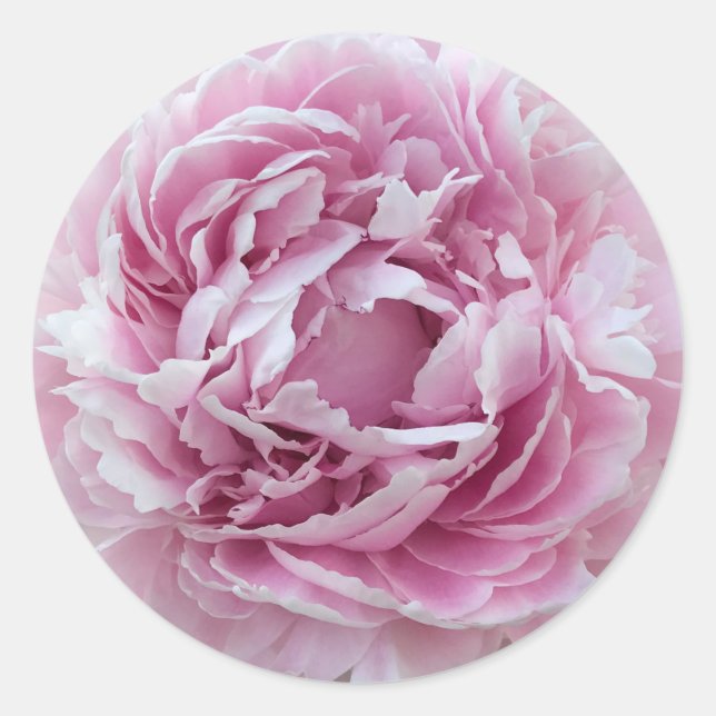 Sticker Rond Agréable Peine rose Perky (Devant)