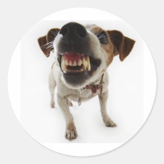 Sticker Rond agressif