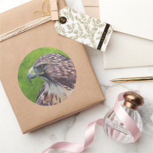 Sticker Rond Aigle