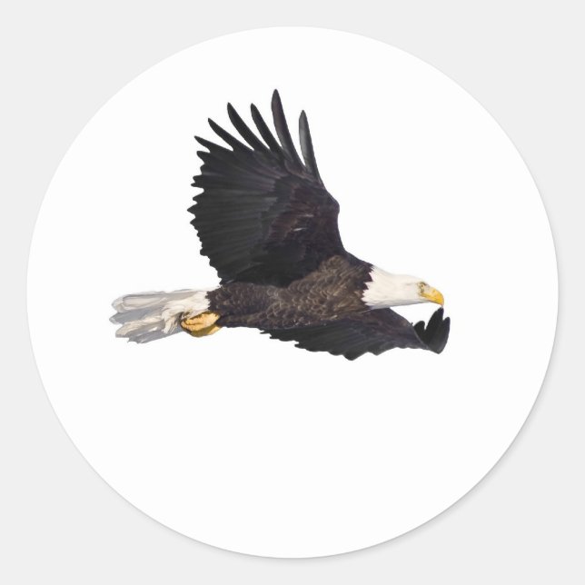 Sticker Rond Aigle à tête blanche (Devant)
